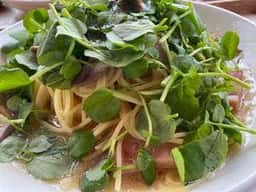 らくだのパスタ