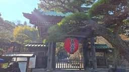長谷寺 見晴台 茶屋