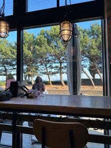 グレイトフルズ HUTPARK用宗店