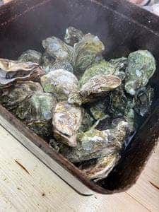 かきいち 大吉店