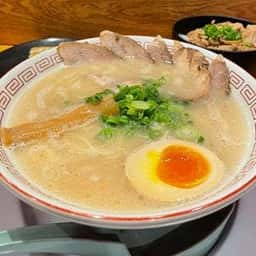 群馬とんこつらーめん だるま大使