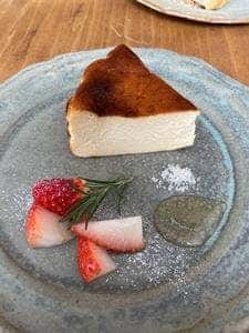 CAFE シトカ