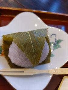 花芽