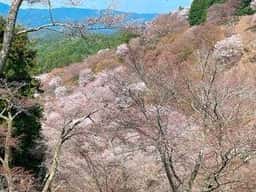 うなぎ屋 太鼓判