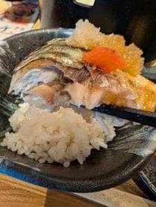 釣宿酒場マヅメ 日本橋店