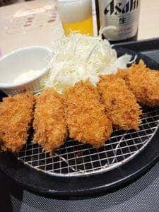 松のや／マイカリー食堂 橋本店