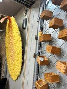 浅草製作所 天ぷらチップス