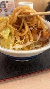 かつや 埼玉上尾店
