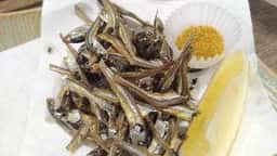 海鮮立呑 牡蠣スタンド