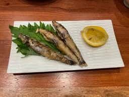 たぬき食堂