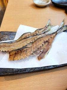 釣り師 鯵仙人