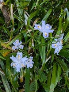 湯屋 やまざくら