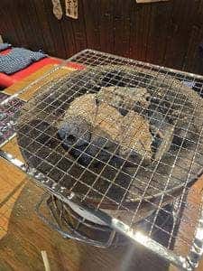 熱烈ホルモンぶぅ