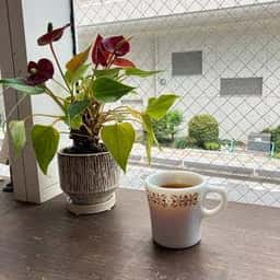 unplugged coffee stand