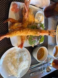 TOKYO エビフライ