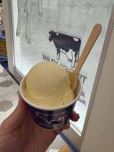 ヤスダヨーグルトショップ CoCoLo新潟店