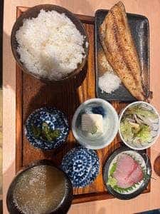 芝松
