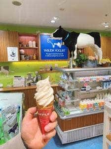 ヤスダヨーグルトショップ CoCoLo長岡店