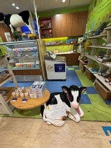 ヤスダヨーグルトショップ CoCoLo長岡店