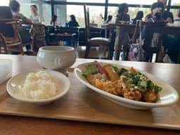 カフェ モーツァルト テオ