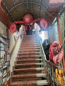サーモンとエビ 鮮魚旬彩 居酒屋 のらばる 池田店