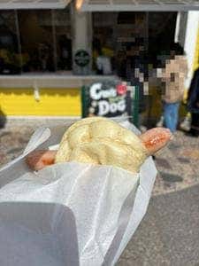 ホットドッグスタンド ホット・ティン・ルーフ
