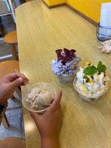 ハウトゥリージェラート