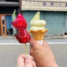 郡上銘茶 小那比園
