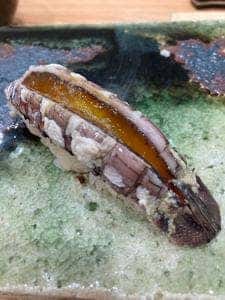 築地すしOmakase 近くの2階