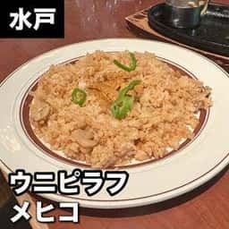 メヒコ 水戸フラミンゴ館