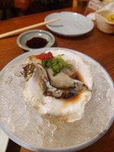 炉ばた 提灯