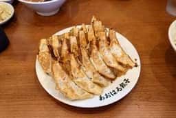 あおはる餃子
