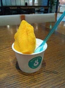 OTTO gelato