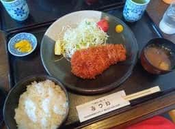 ヘルシーポーク みつい