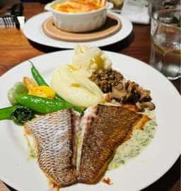 BISTRO M05