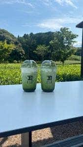 茶の庭