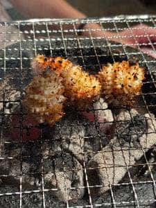 亀戸ホルモン 本八幡店