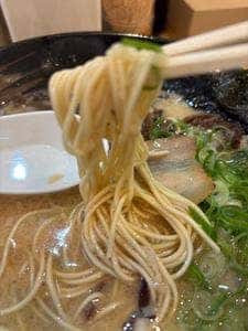 ラーメン猫猫