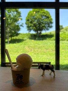 ジェラートカフェ 三田牧場