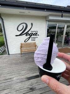 Gelateria Vega