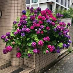 京菓子處鼓月東京本店
