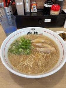 博多 閃龍
