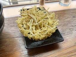 うどん専門 めだか