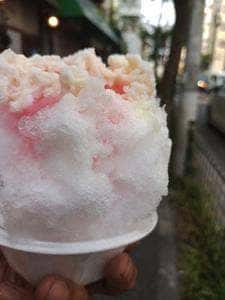 毒島氷室