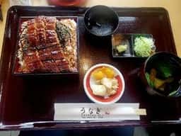 青木