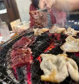 とよ七