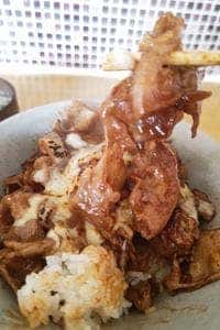 ごはんとおさけ スイセイ食堂