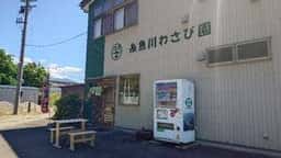 糸魚川わさび園