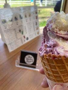 Blue Bamboo Farm Gelato JAくまがやふれあいセンター妻沼店