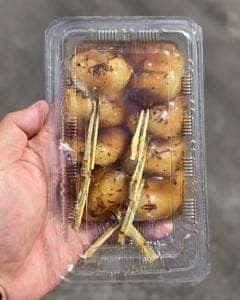 ぢゃんぼ餅 淀川屋